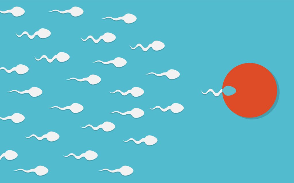 White illustrated sperm swim toward an orange egg on a blue background.