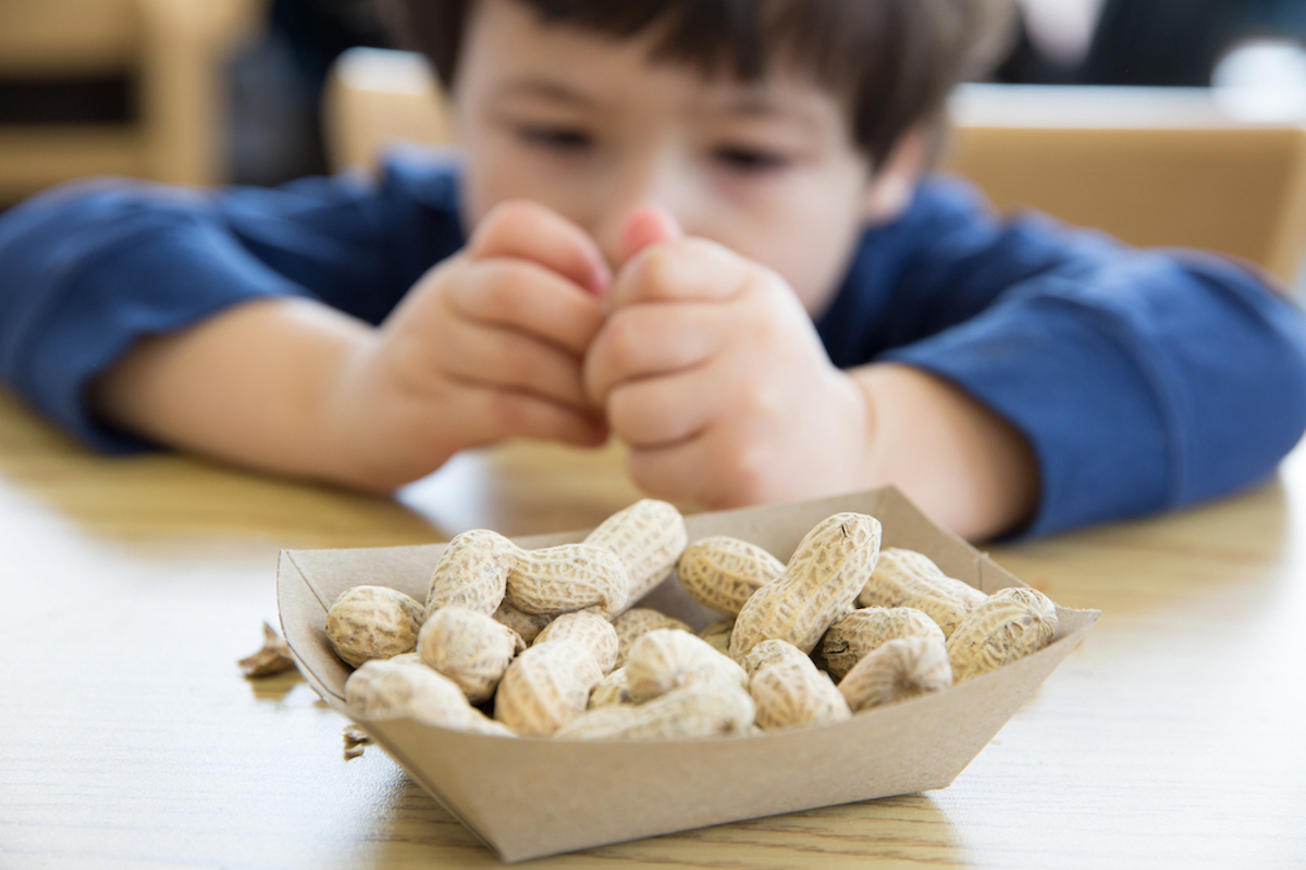 A young child seated at a table holds a peanut. He is seated behind a bowl of peanuts.