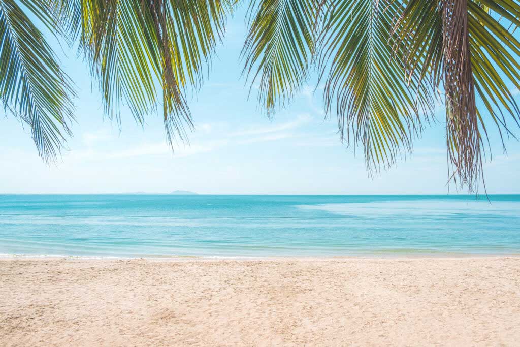 Tropical beach with palm trees on a sunny day.