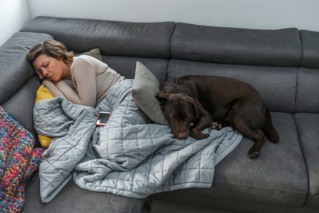 Adult and large dog nap on the couch. The woman has a light-blue blanket.