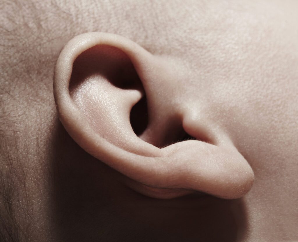 Close up of a baby's ear.