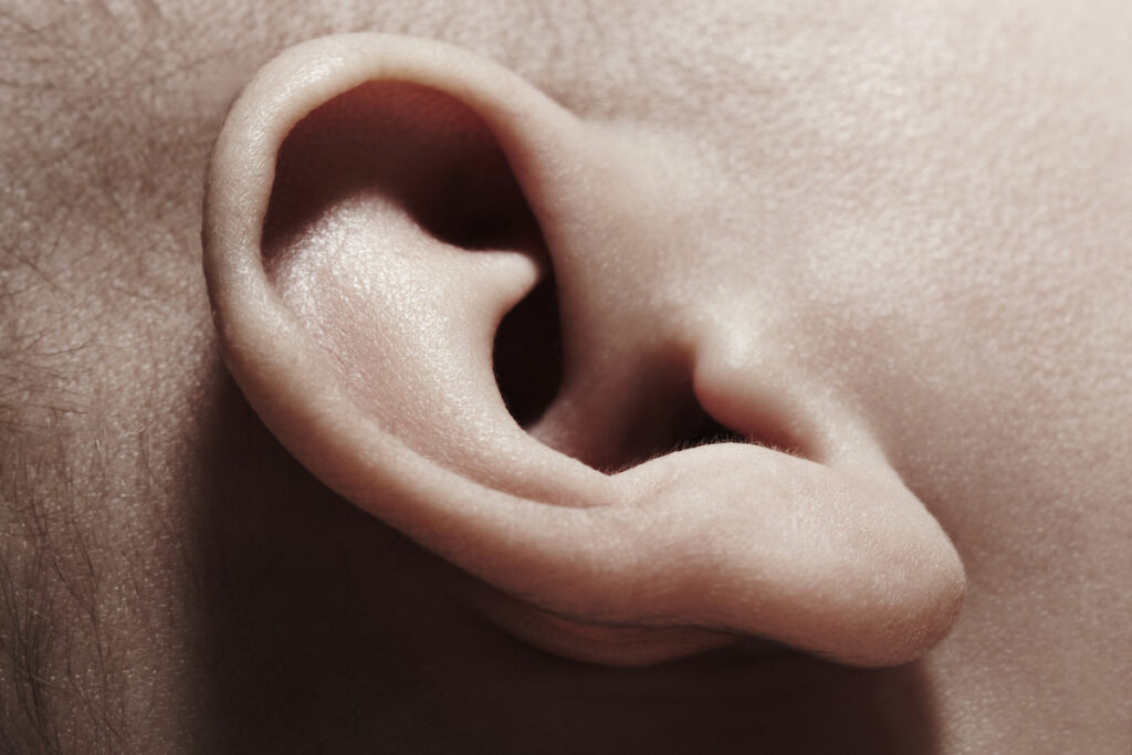 Close up of a baby's ear.