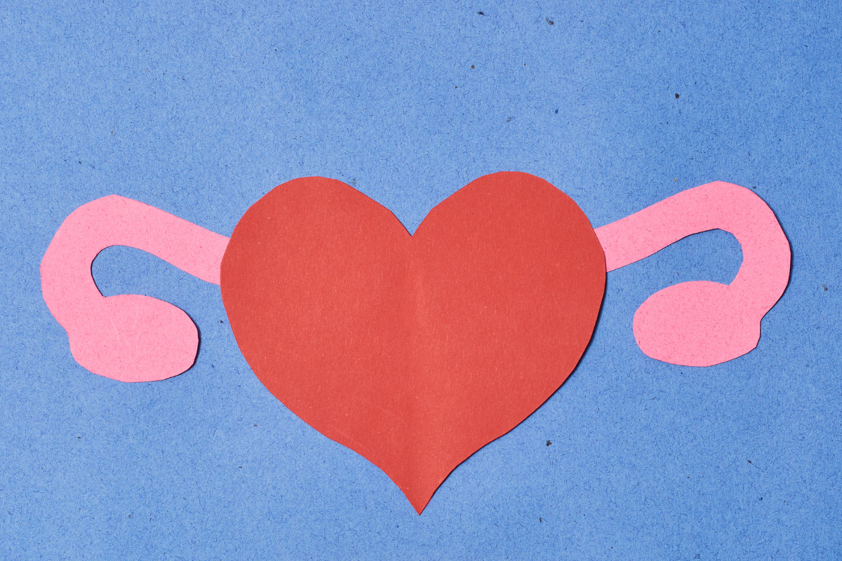 A paper cut-out of a uterus