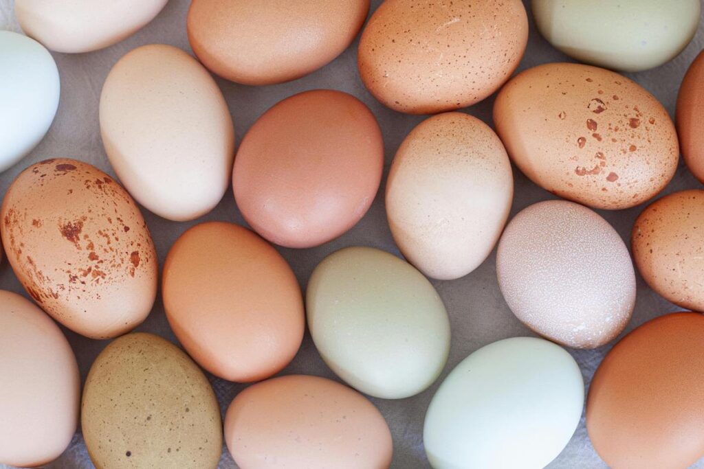 Coloured eggs arranged