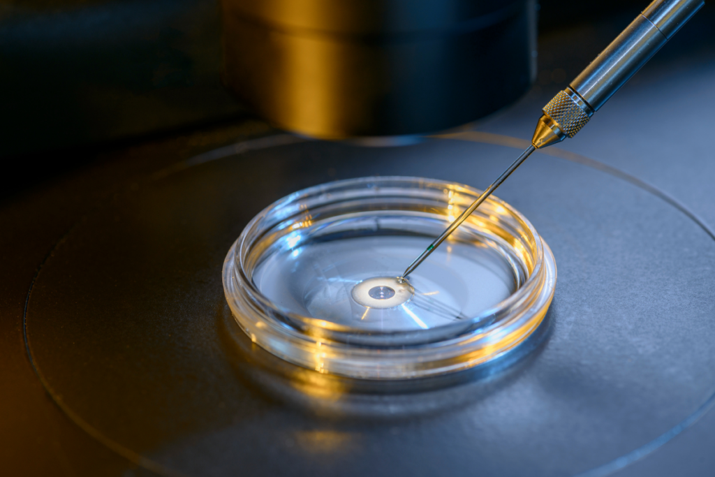 A petri dish with ovum and needle with sperm.