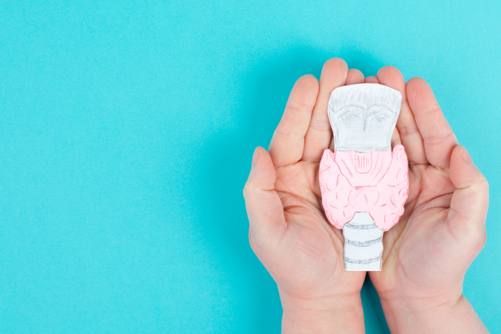 A person having a paper cut-out of thyroid gland at hand.