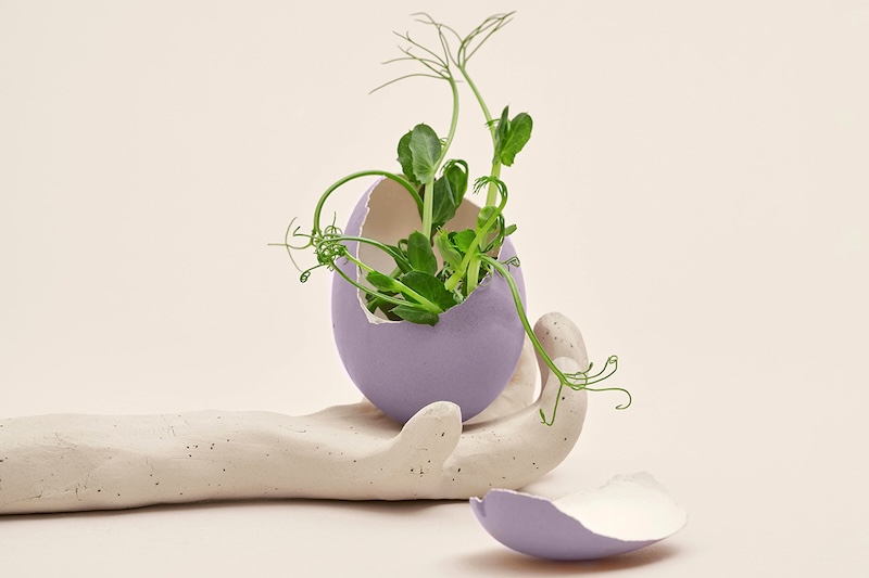 is restorative reproductive medicine an alternative to IVF