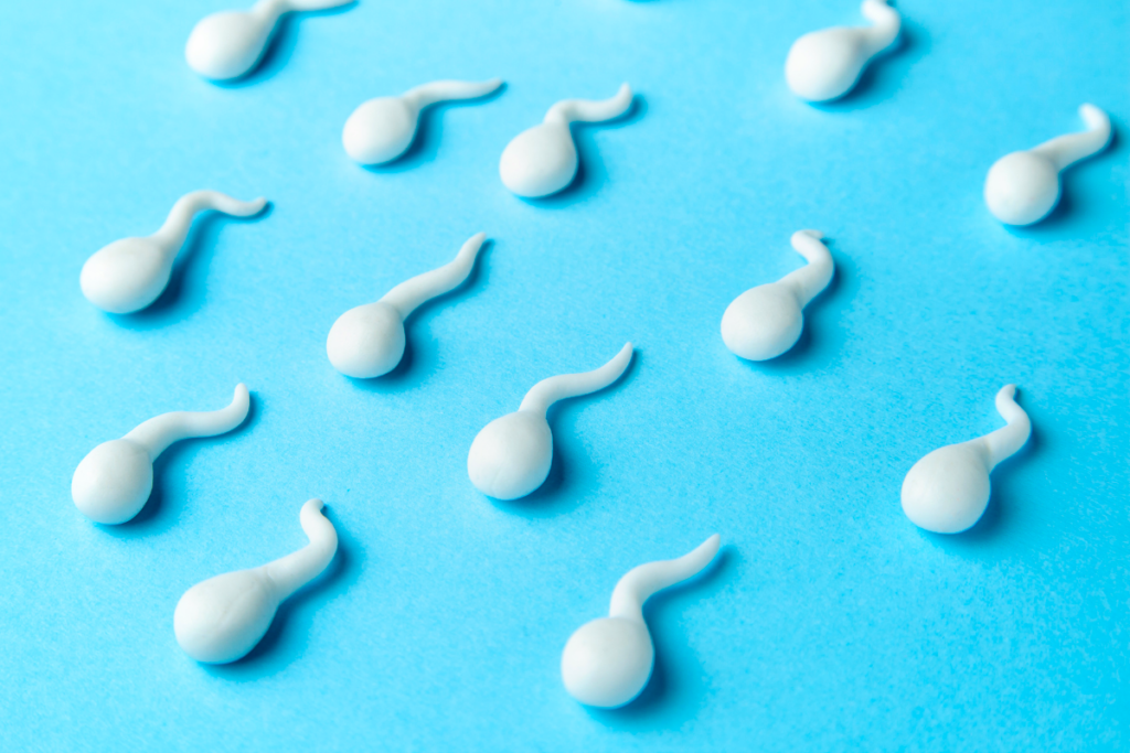 Sperm illustration.